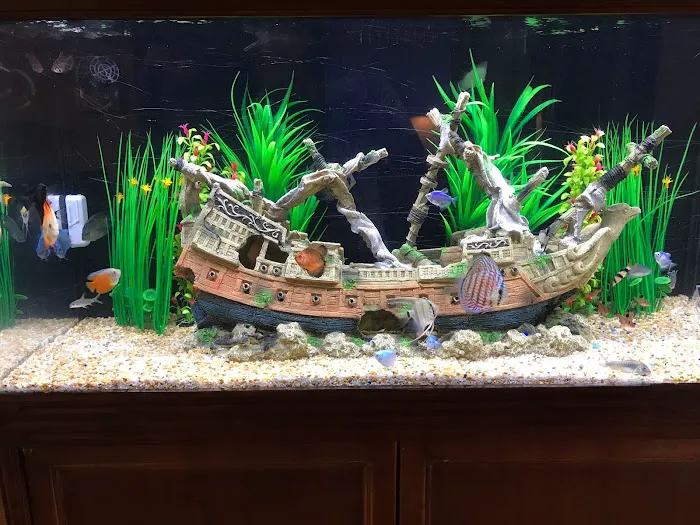 Under The Sea Aquarium Marketplace Picture 2