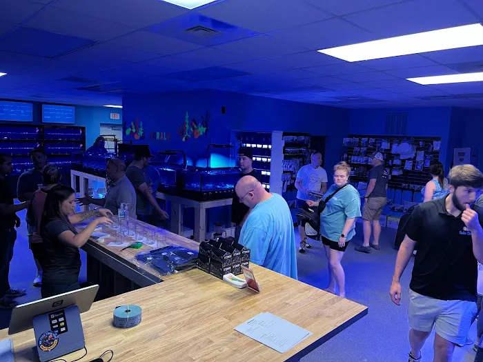 Under The Sea Aquarium Marketplace Picture 4