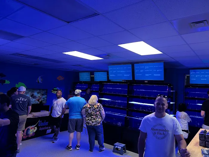 Under The Sea Aquarium Marketplace Picture 10