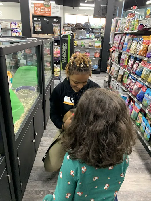 Pet Supermarket Picture 7