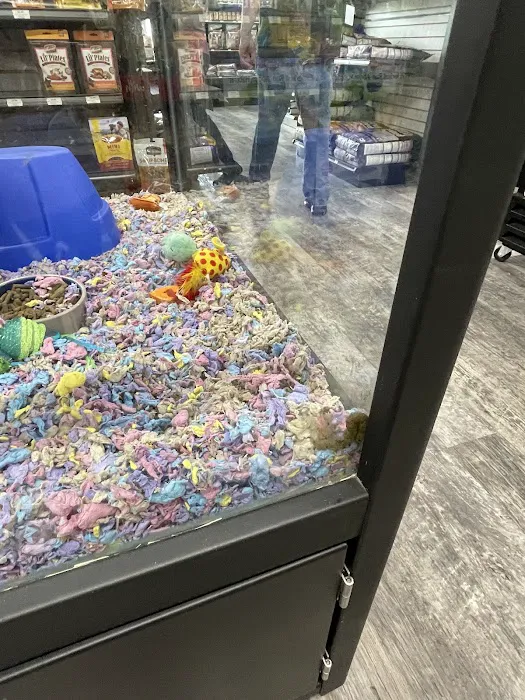 Pet Supermarket Picture 9