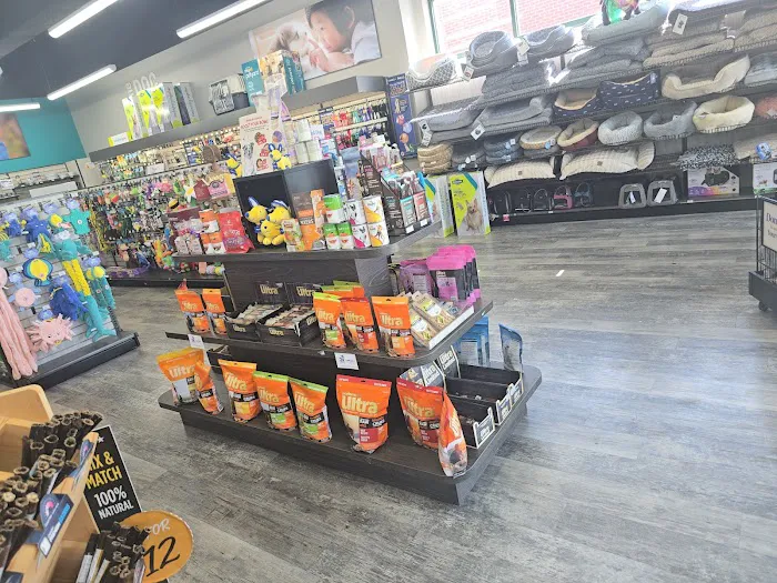 Pet Supermarket Picture 3