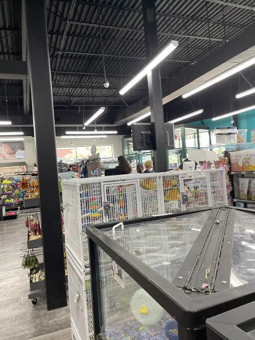 Pet Supermarket Picture 6