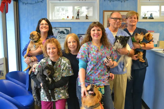 Pearl River Animal Hospital Picture 1