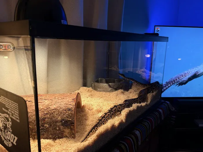 Missing Link Aquatics & Exotics Picture 5