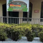 Missing Link Aquatics & Exotics