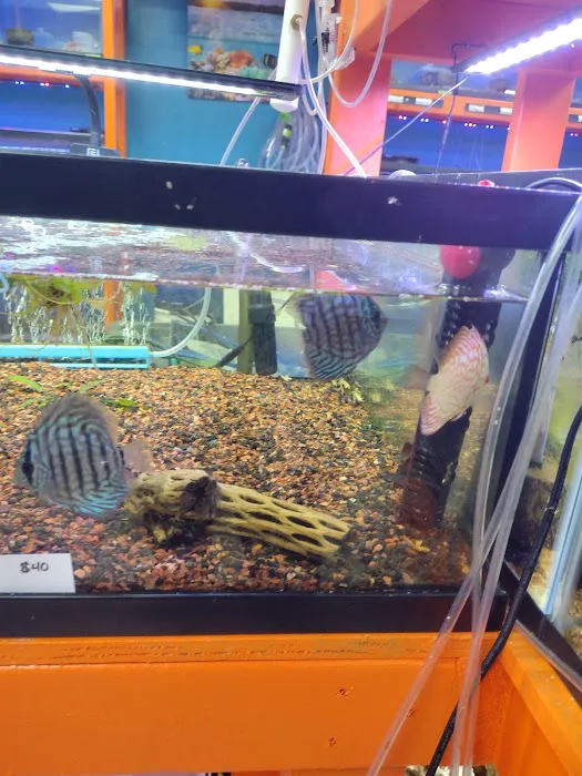 Missing Link Aquatics & Exotics Picture 3