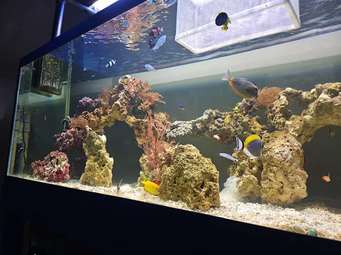 Missing Link Aquatics & Exotics Picture 10