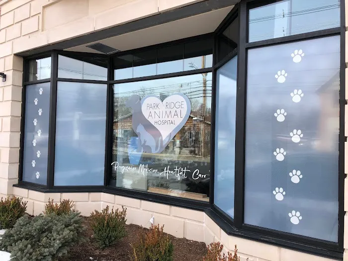 Park Ridge Animal Hospital Picture 10