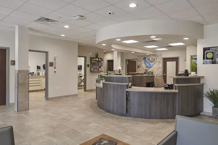 Park Ridge Animal Hospital Picture 4
