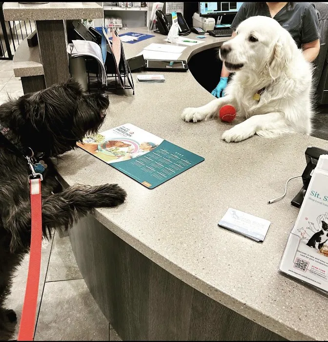 Park Ridge Animal Hospital Picture 9