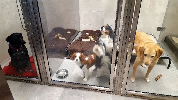 Park Ridge Animal Hospital Picture 7