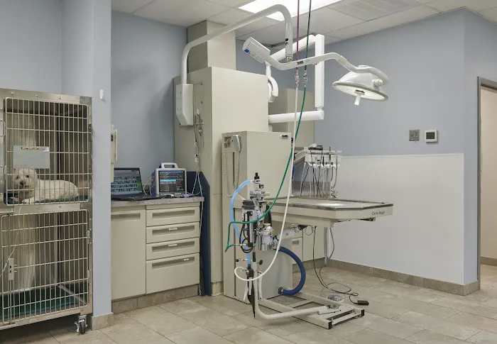 Park Ridge Animal Hospital Picture 3