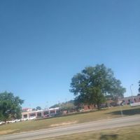 Carolina Crested Creations (Home Business) ico