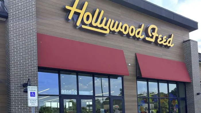Hollywood Feed Picture 8