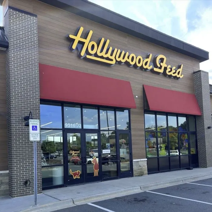 Hollywood Feed Picture 6