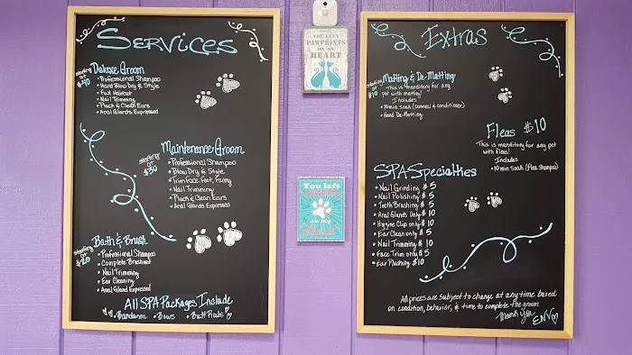 ENV Pet Spa and Grooming Picture 5