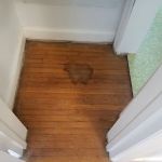 ENV Pet Spa and Grooming