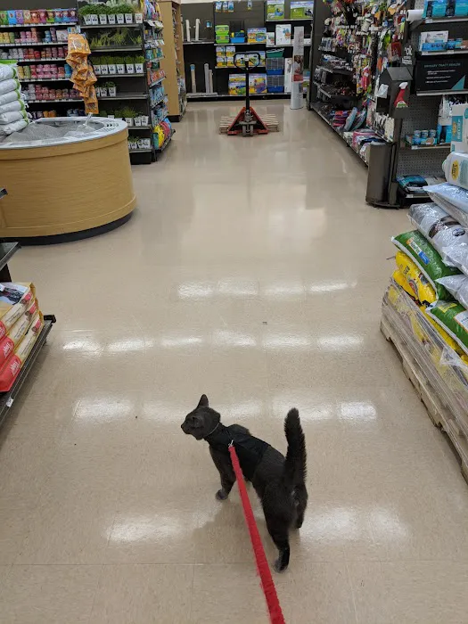 Petco Picture 10