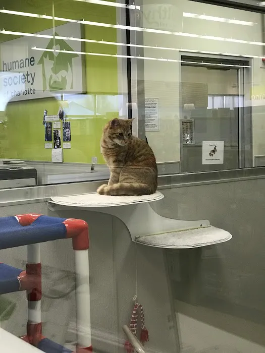 Petco Picture 3