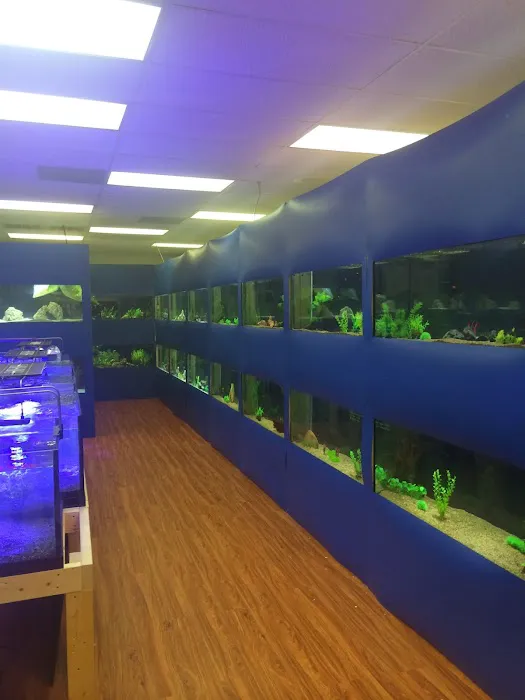 Upscale Aquatics Picture 5