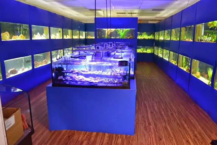 Upscale Aquatics Picture 7
