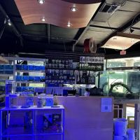 Upscale Aquatics ico
