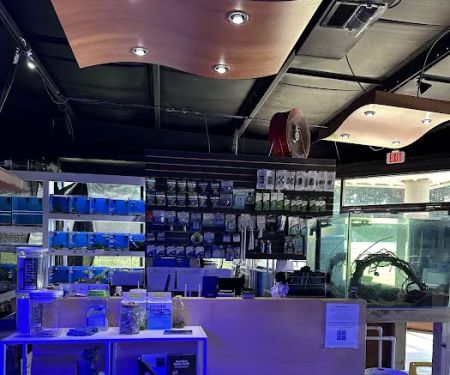 Upscale Aquatics