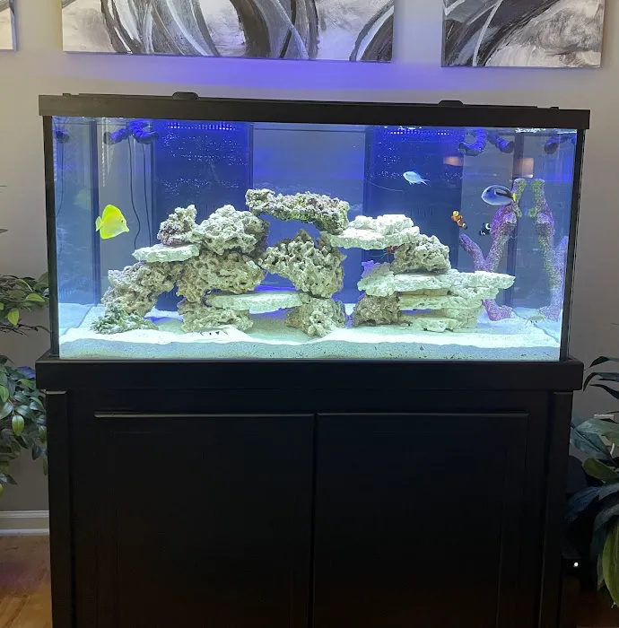 Upscale Aquatics Picture 2