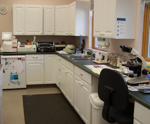 Marbletown Animal Hospital Picture 3