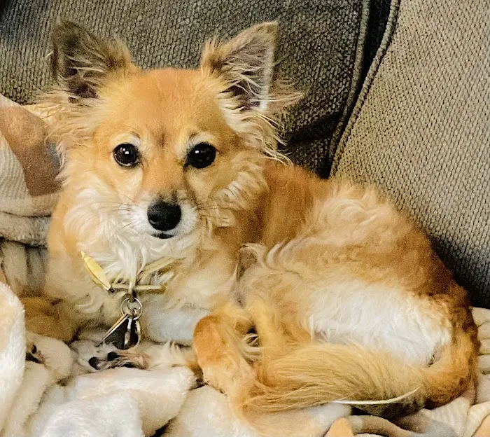 Marbletown Animal Hospital Picture 2