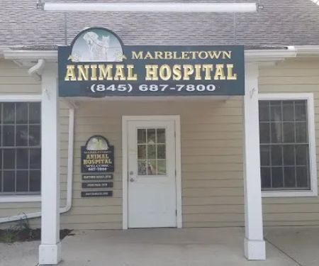 Marbletown Animal Hospital