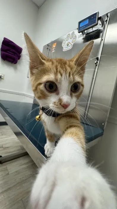 Marbletown Animal Hospital Picture 5