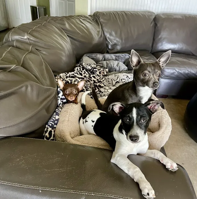 Marbletown Animal Hospital Picture 6