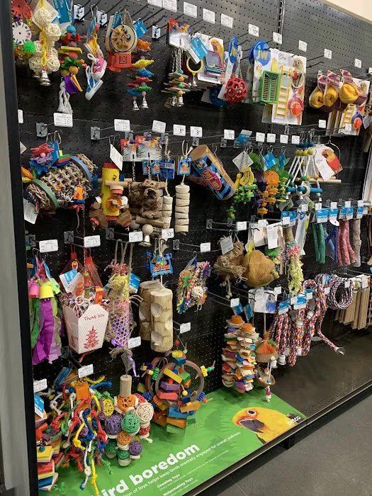 Petco Picture 6