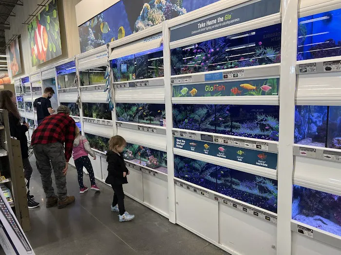 Petco Picture 1