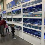 Petco