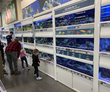 Petco
