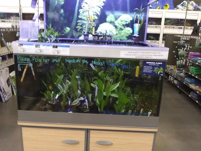 Petco Picture 9