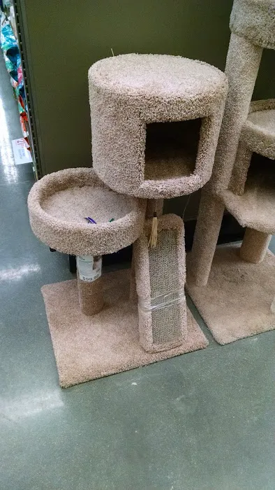 Petco Picture 10