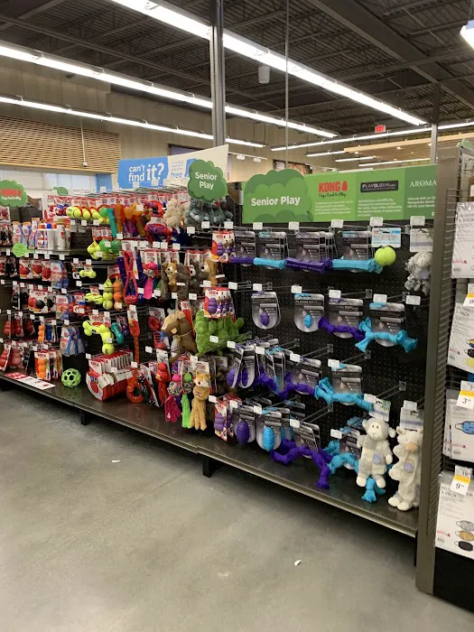 Petco Picture 3