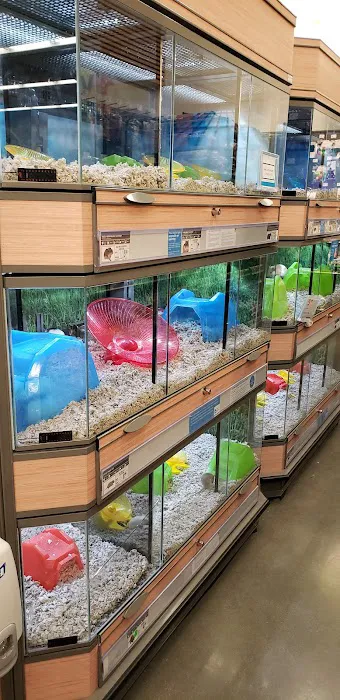 Petco Picture 4