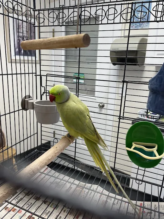 All Creatures Veterinary Hospital Picture 4