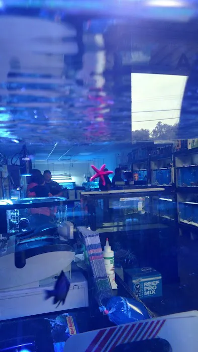 Advanced Aquatic Pets Picture 8