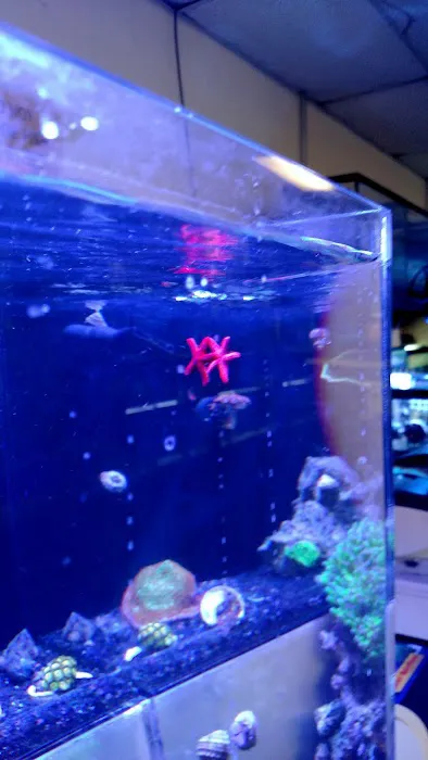 Advanced Aquatic Pets Picture 5