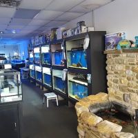Advanced Aquatic Pets ico