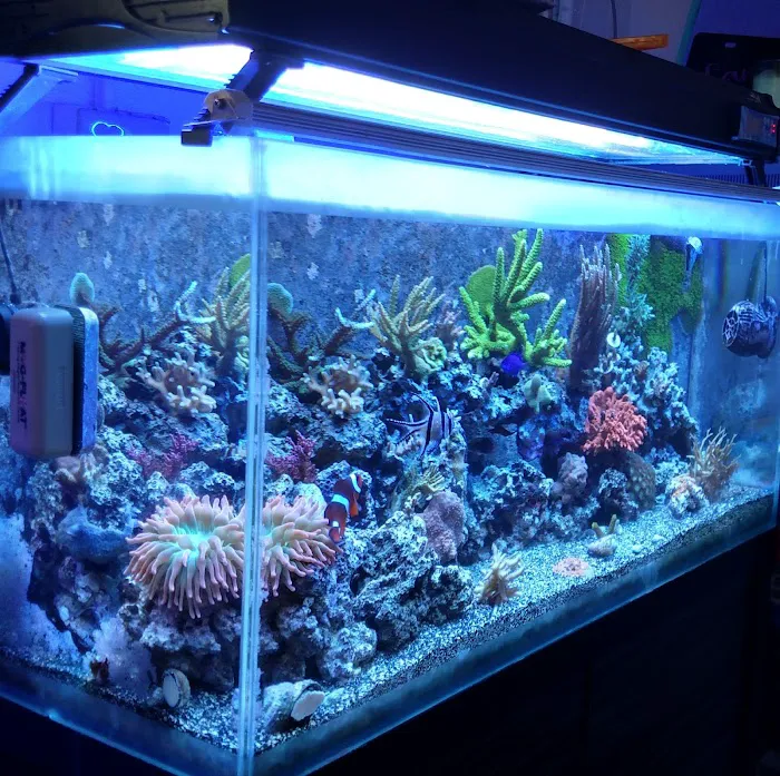 Advanced Aquatic Pets Picture 10