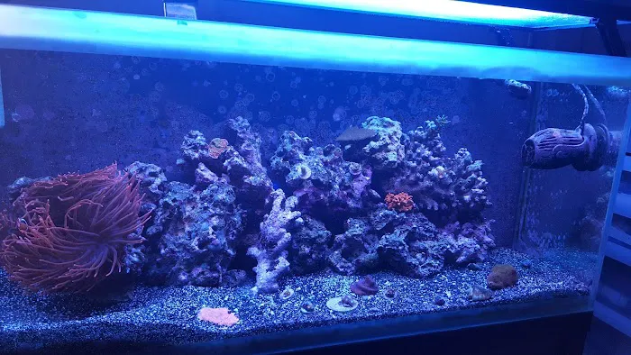 Advanced Aquatic Pets Picture 6
