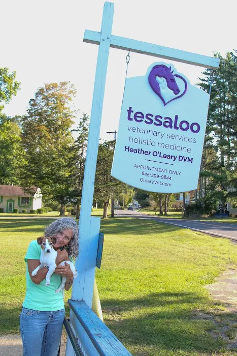 TessaLoo Veterinary Services Picture 2