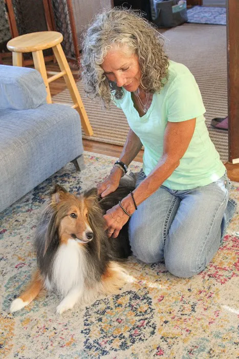 TessaLoo Veterinary Services Picture 4